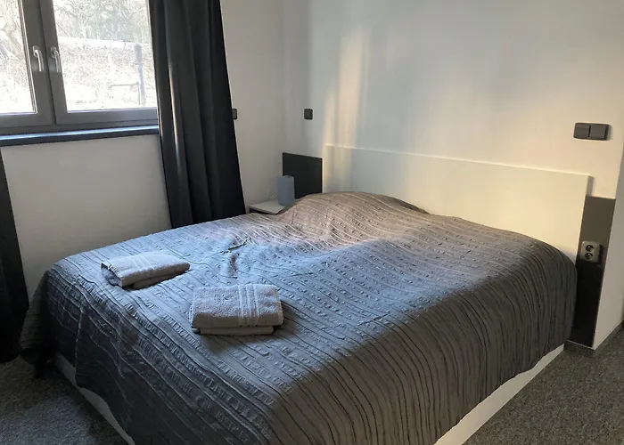 Grasel * Nove Syrovice